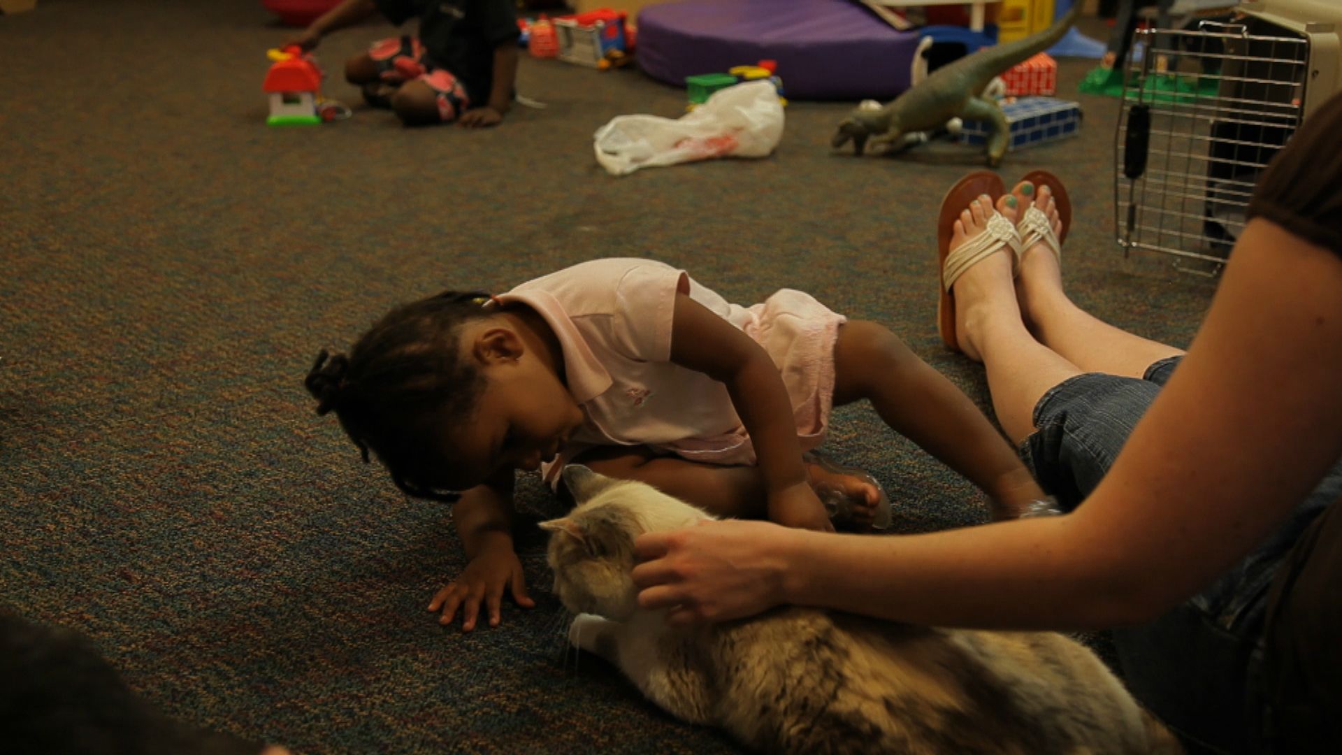 Pets provide love for children in domestic abuse shelter