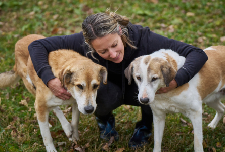 Two of our dogs with a care-giver at the Home For Life sanctuary.  