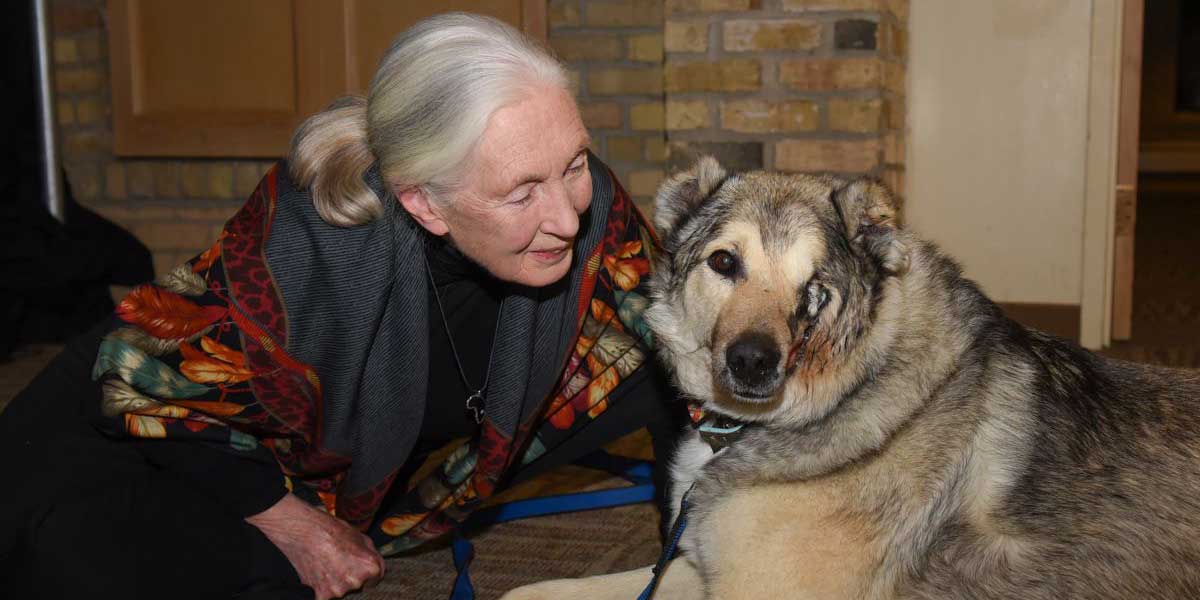 Dr. Jane Goodall was delighted to meet Raha