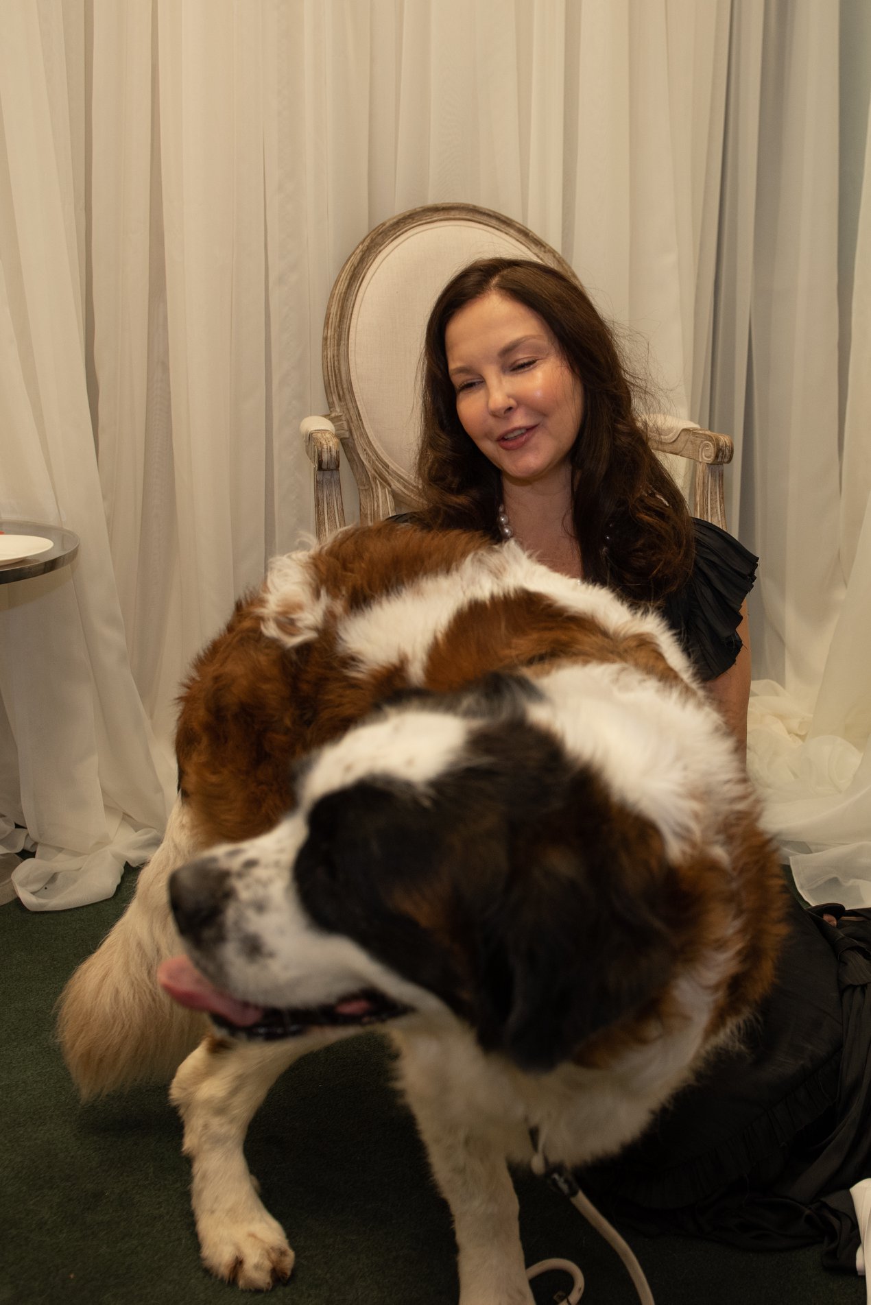 Gracie with Ashley Judd at Fancy Feast Home for Life gala