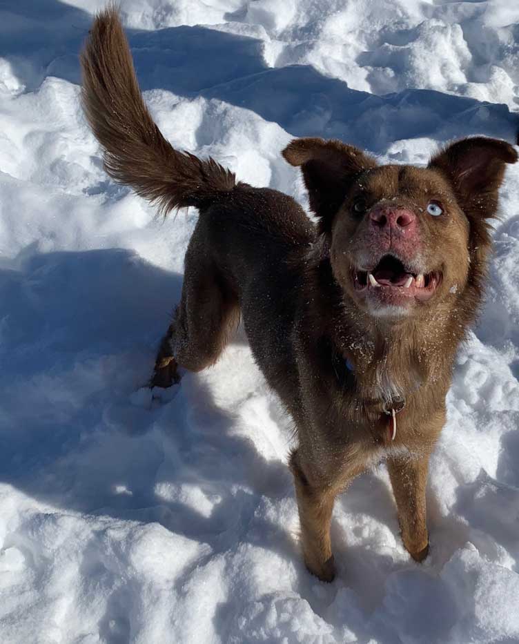 Ginger keeps her eye on the ball!