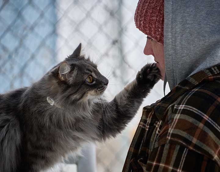 Rocket reaching out