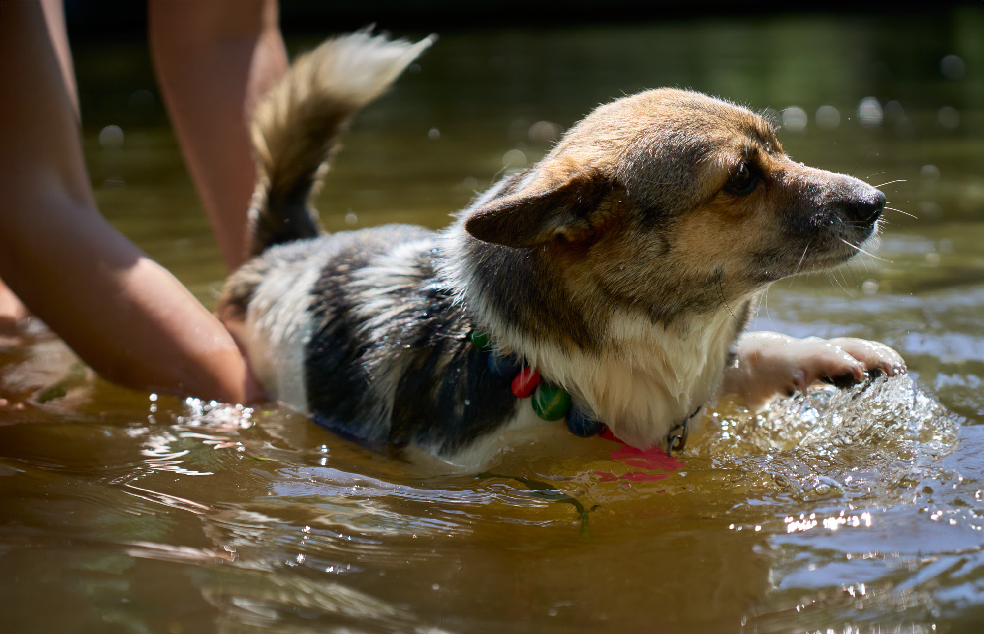 Swimming provides good exercise while cooling off