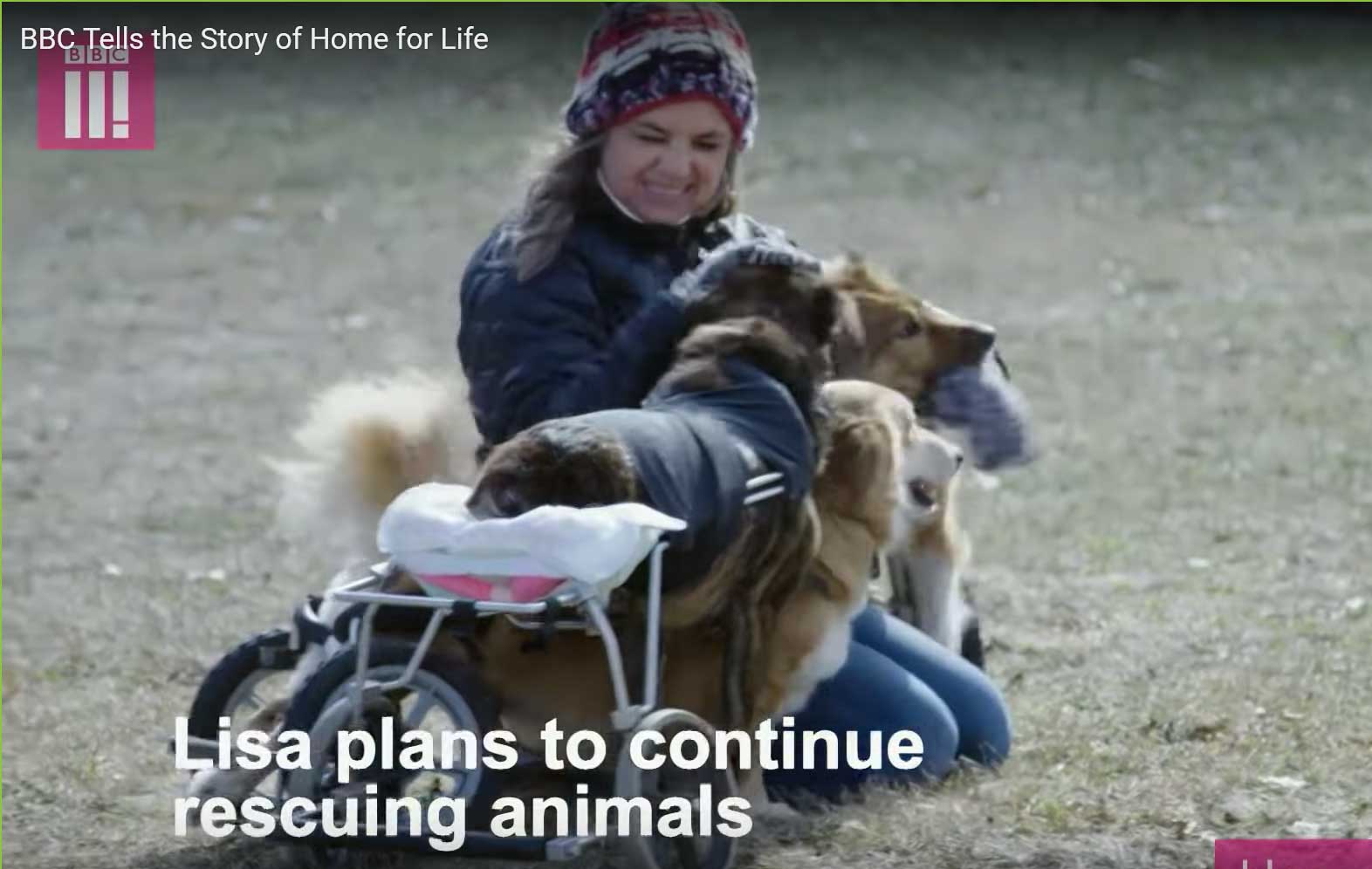 Lisa with some of animals