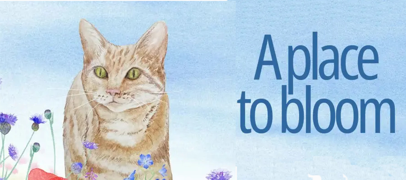 A Place to Bloom - watercolor of blue sky and flowers, and Butternut.  Home for Life’s powerful impact on the lives of abandoned cats and kittens