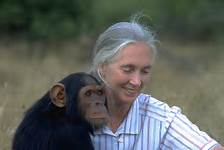 Jane Goodall and friend -- save the date