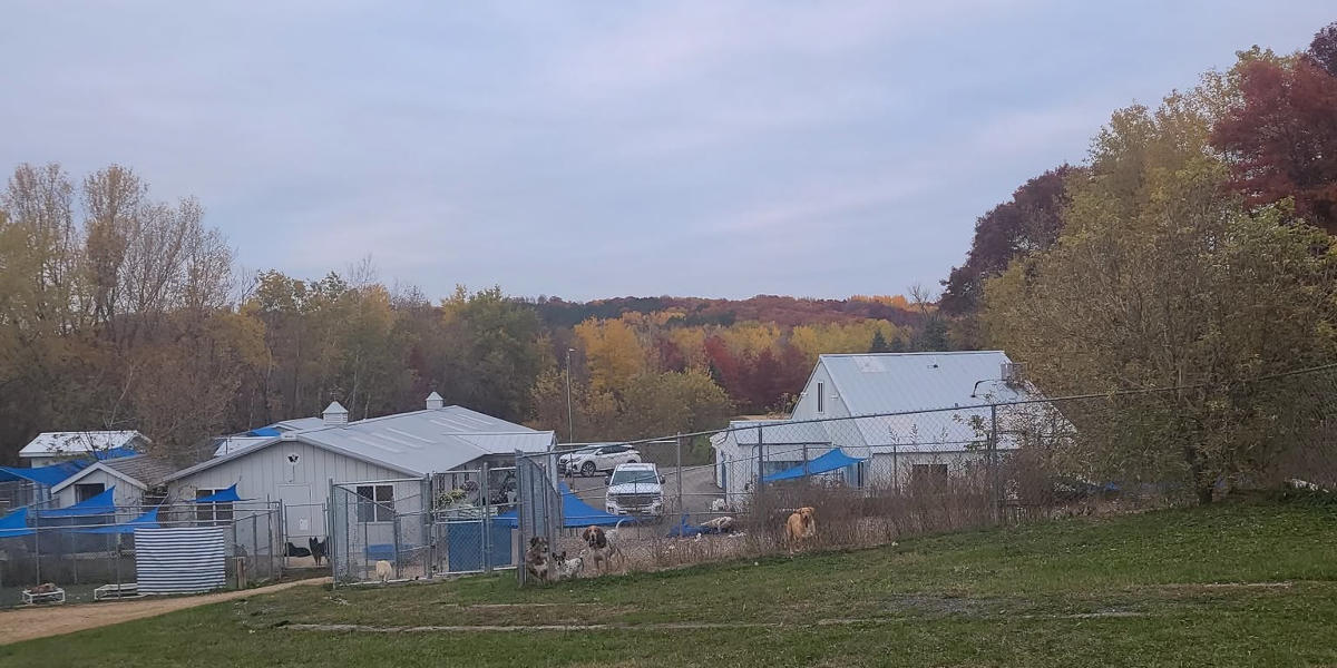 Fall colors surround the Home For Life buildings