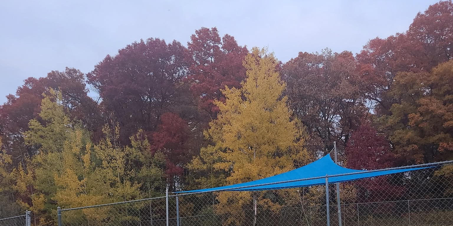 The trees in full display of their fall colors of red, orange and yellow - in front of the enclosures and sunshades.  
