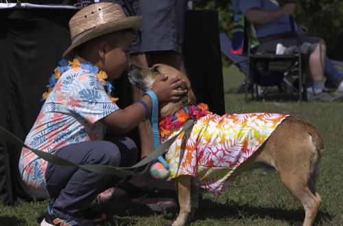 Dog kiss