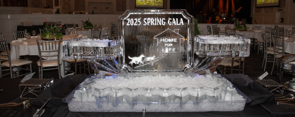 Gala centerpiece from 2025