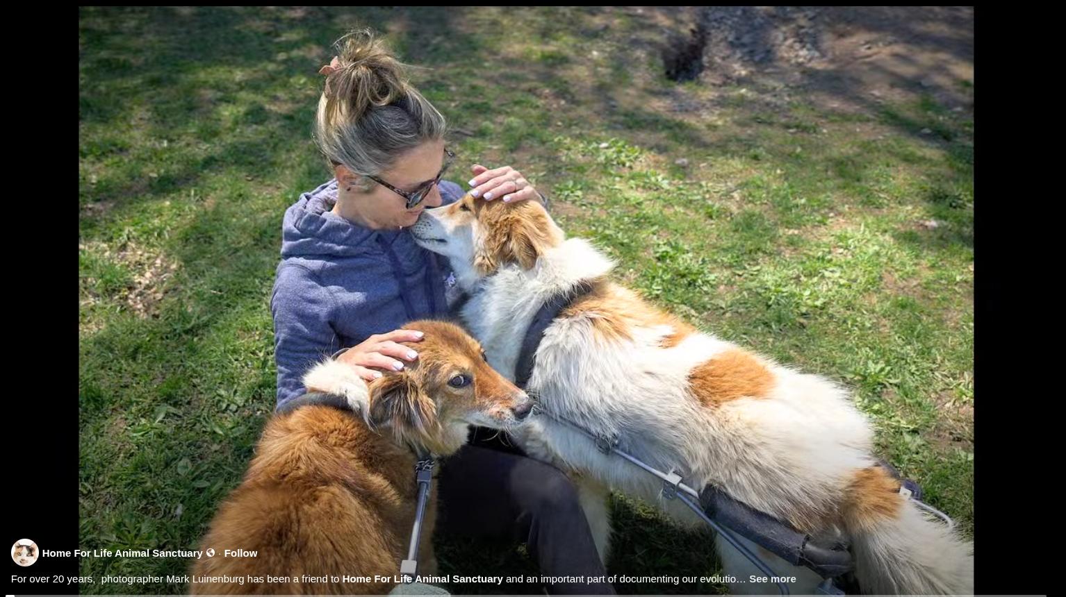 screenshot of the 2025 Year in Review video on Facebook 