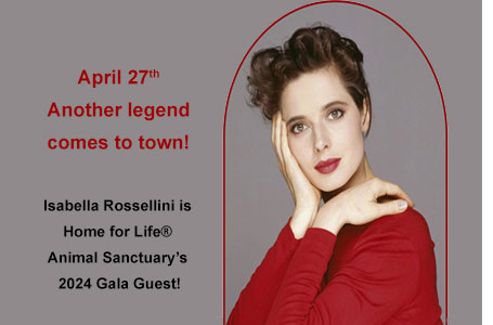 Isabella Rosellini 2024 gala