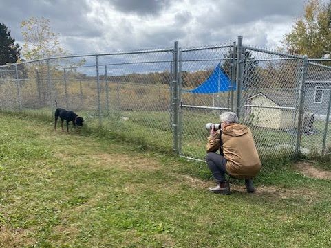 Mark L, crouching to catch the right angle with Scarlett at Home For Life sanctuary. 