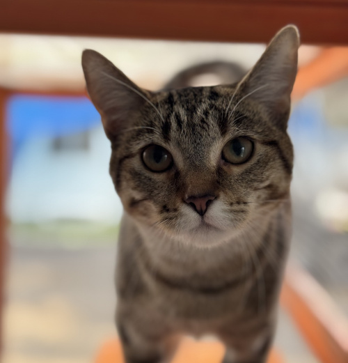 We move on from this sordidness by taking the best care of Reese, and ensuring her healing physically and mentally, she has done well, and has seemed to find a way forward from her traumatic ordeal.