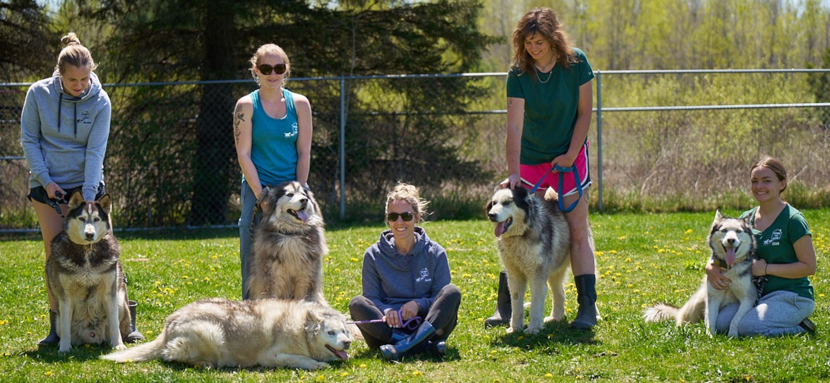 Skippyjon with the huskies