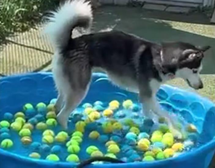 Screenshot of Skippyjon playing in the pool