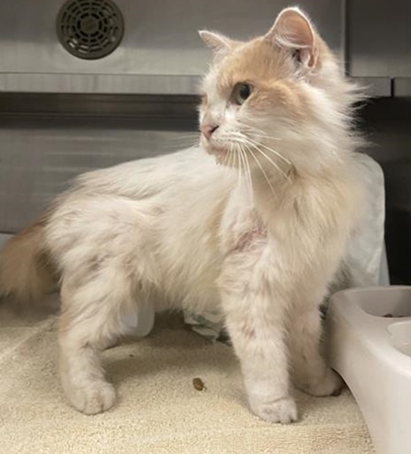 Winter, when she arrived at Home For Life