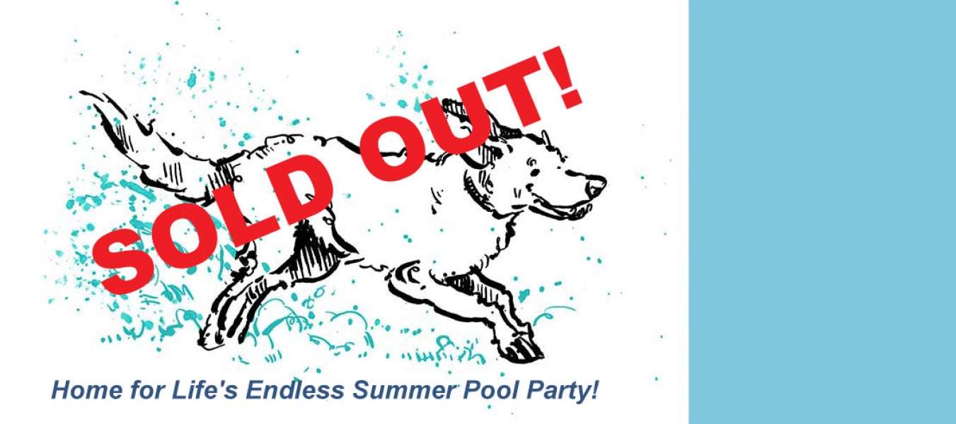 2022 pool party sold out