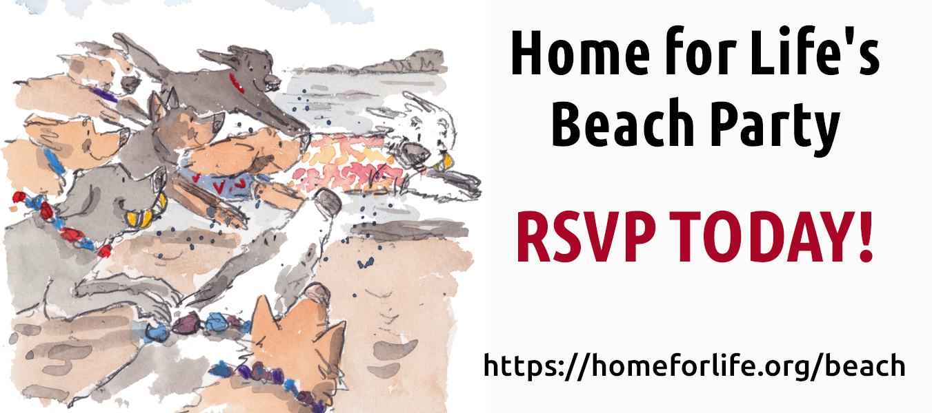 Beach party invite, with a water-color drawing of excited and happy dogs chasing each other, and the party details on the second half of the image.
