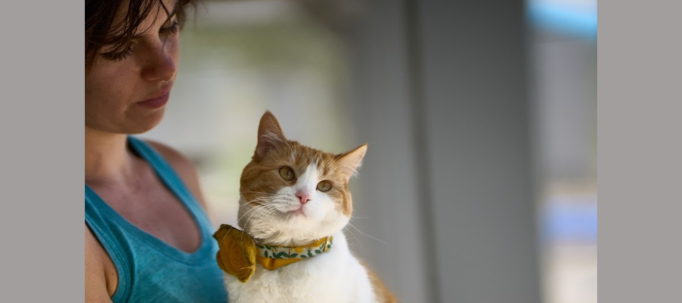 Buttercup with a bow in the trainers arms