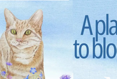 A Place to Bloom - watercolor of blue sky and flowers, and Butternut.  Home for Life’s powerful impact on the lives of abandoned cats and kittens