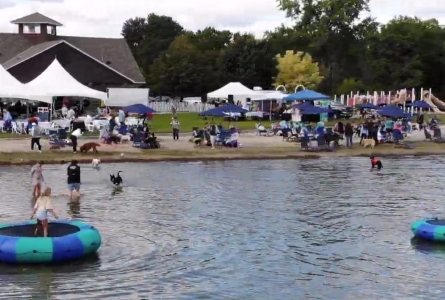 View from the water at the Home For Life Beach Party 2025