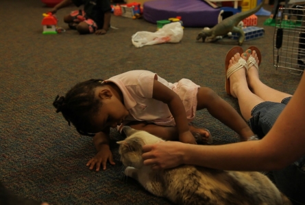 Pets provide love for children in domestic abuse shelter