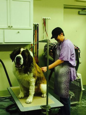Finnegan being groomed