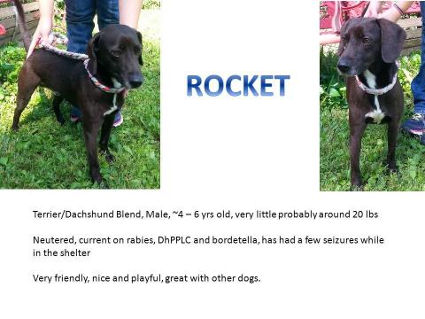 flyer for rocket