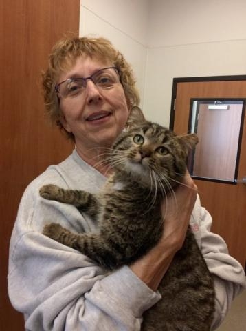 Larry finds his forever home thru the Paws and Claws shelter in Rochester. They helped Larry in exchange for our taking in a Feleuk_FIV_ cat named Jeffrey