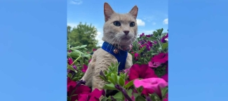 Devyn in the flowers