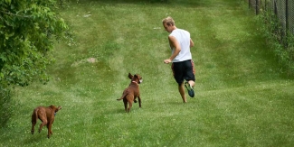 Boy (Jake) running with puppies