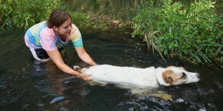 Shoja swimming with Krissy (volunteer) in the river