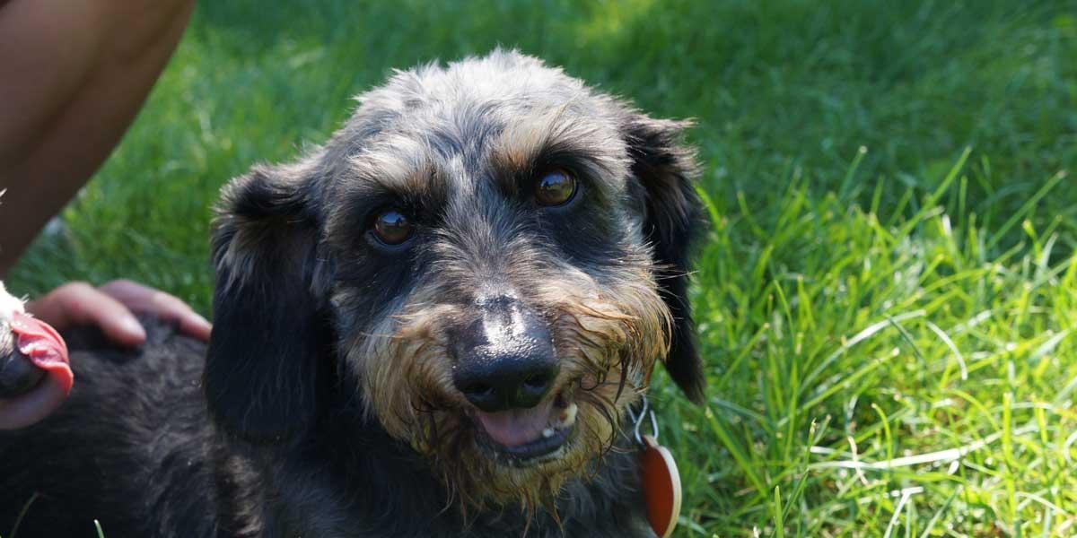 Malcolm in the grass