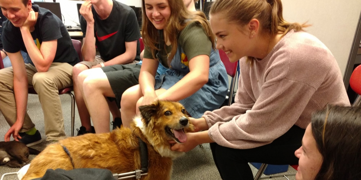 Poppy at Como Park School