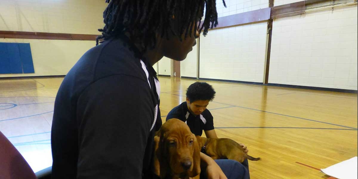 Training puppies at Totem Town