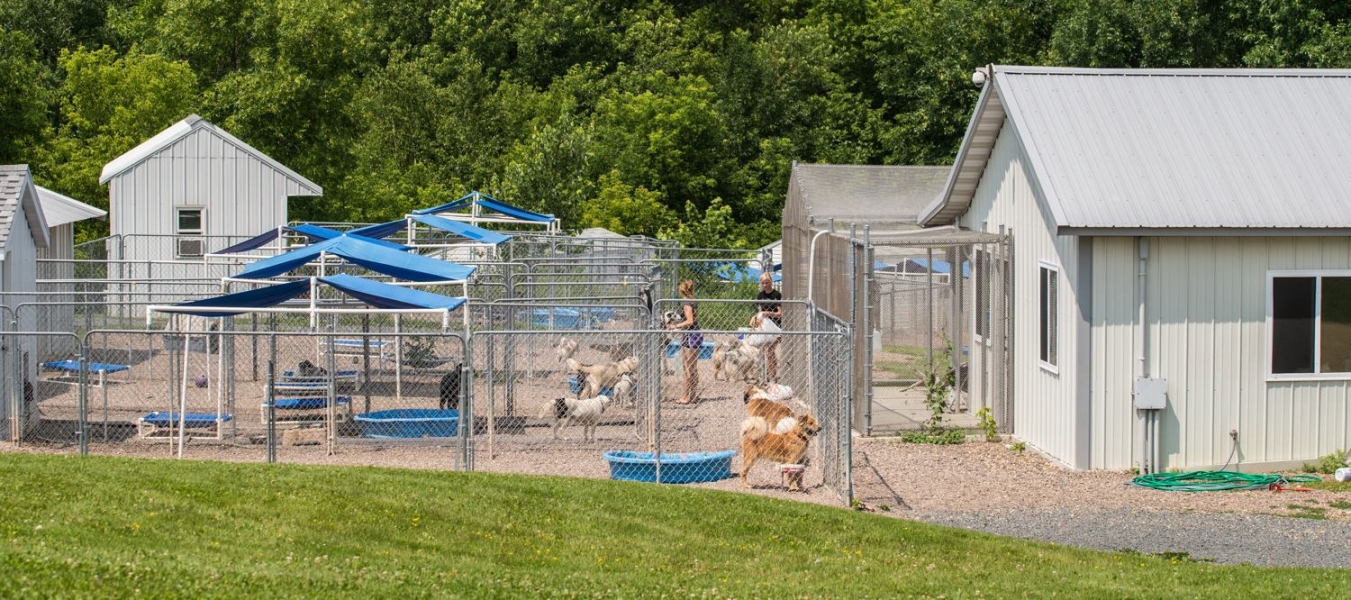 View of the dog houses at the Home For Life facility