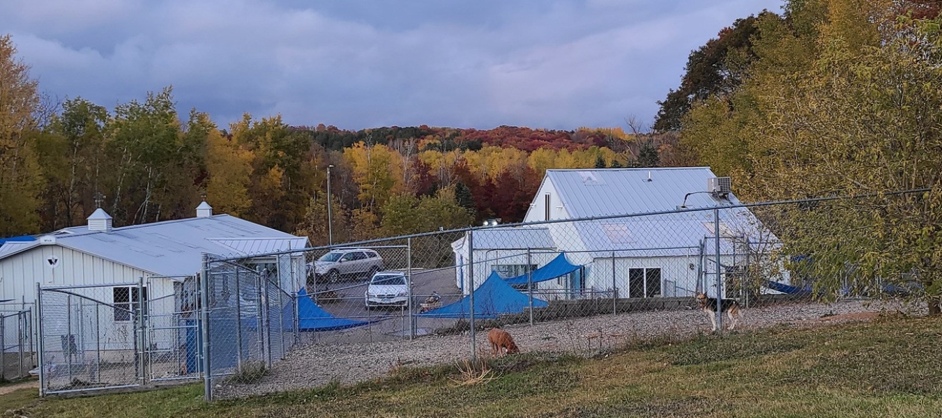 The Home For Life buildings with beautiful fall colors of yellow and red.  