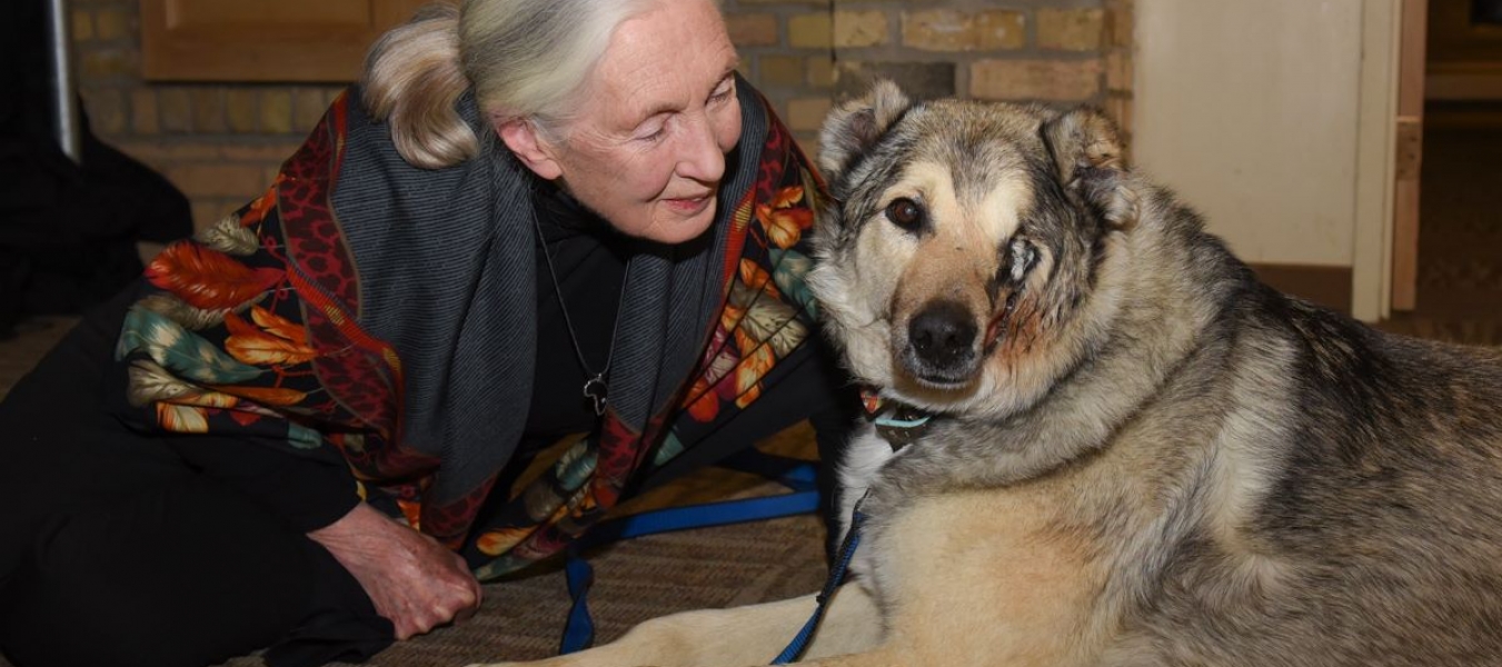 Dr. Goodall was delighted to meet Raha and very moved by his story