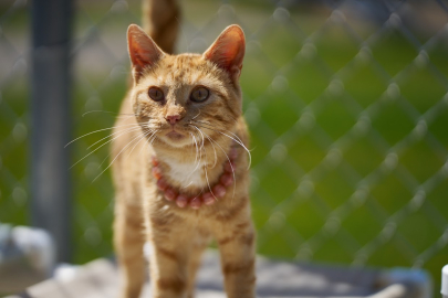 Butternut waiting for your visit!